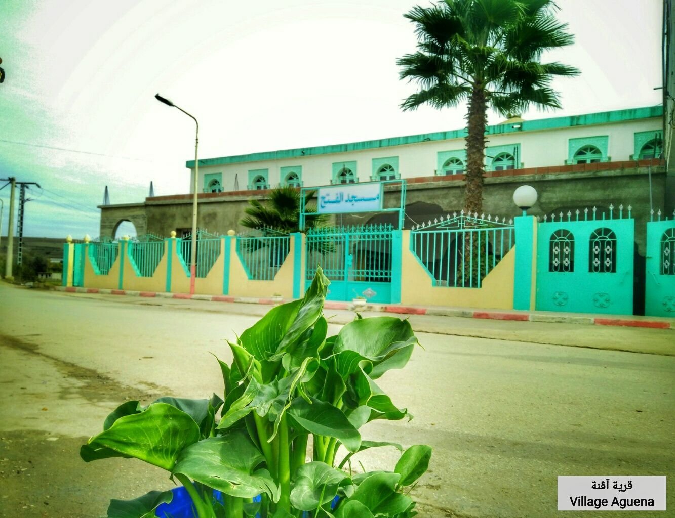 شبكة القل الاسلامية