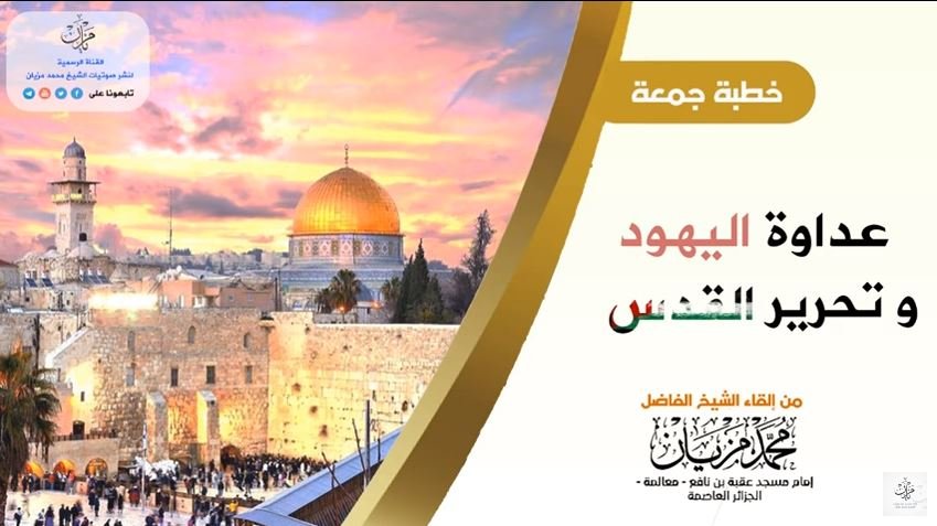 شبكة القل الاسلامية