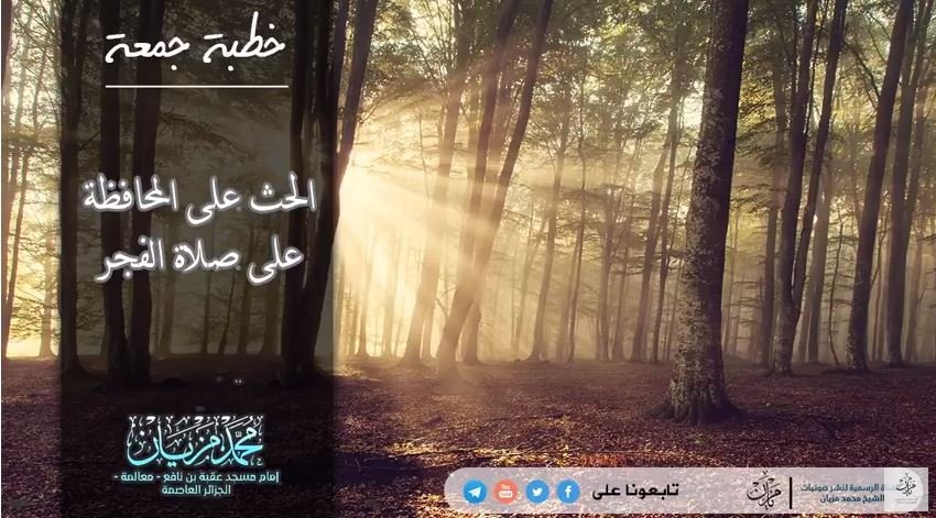 شبكة القل الاسلامية