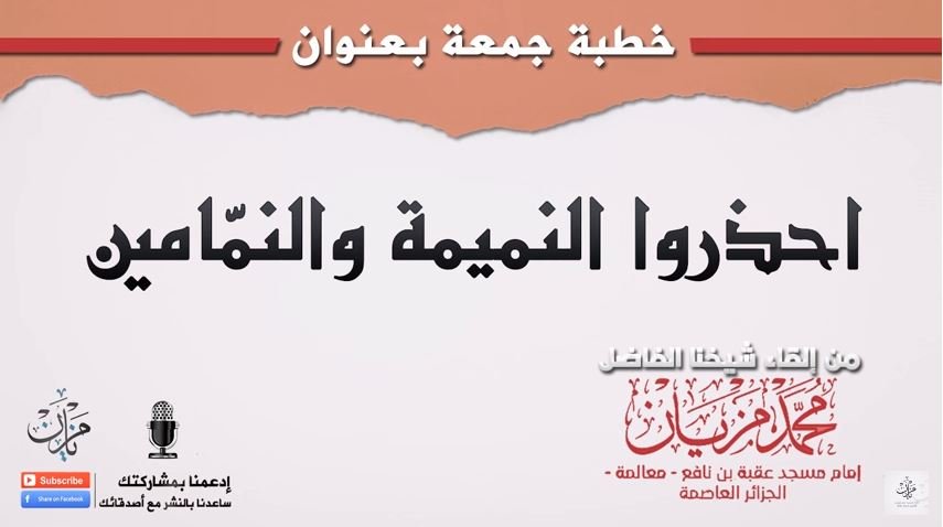 شبكة القل الاسلامية