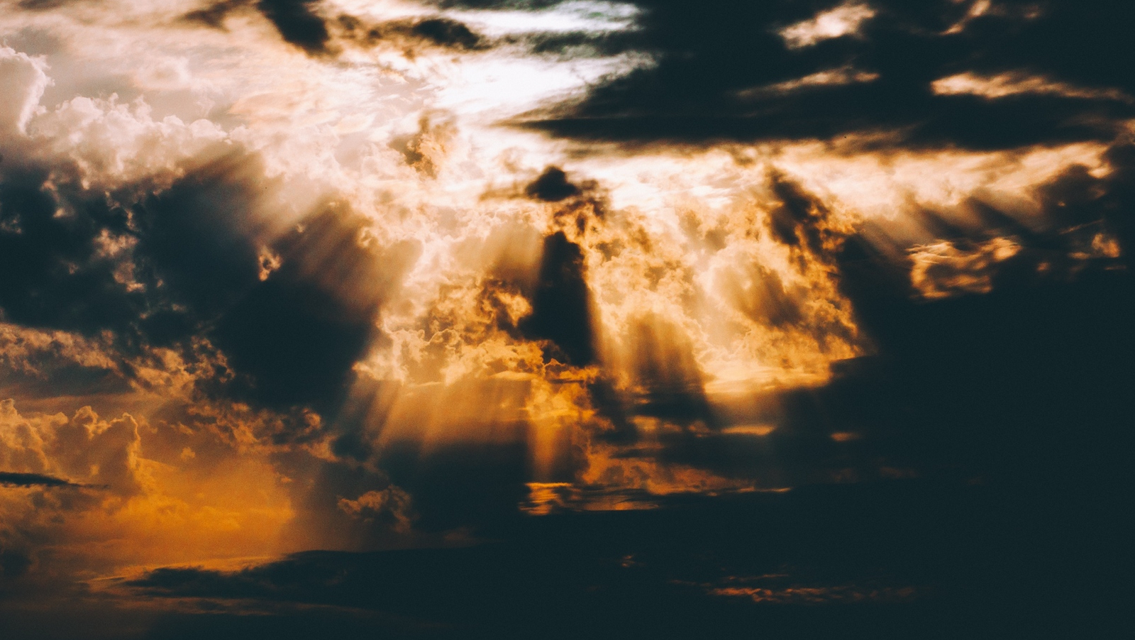 موقع القل الإسلامي شبكة القل الاسلامية