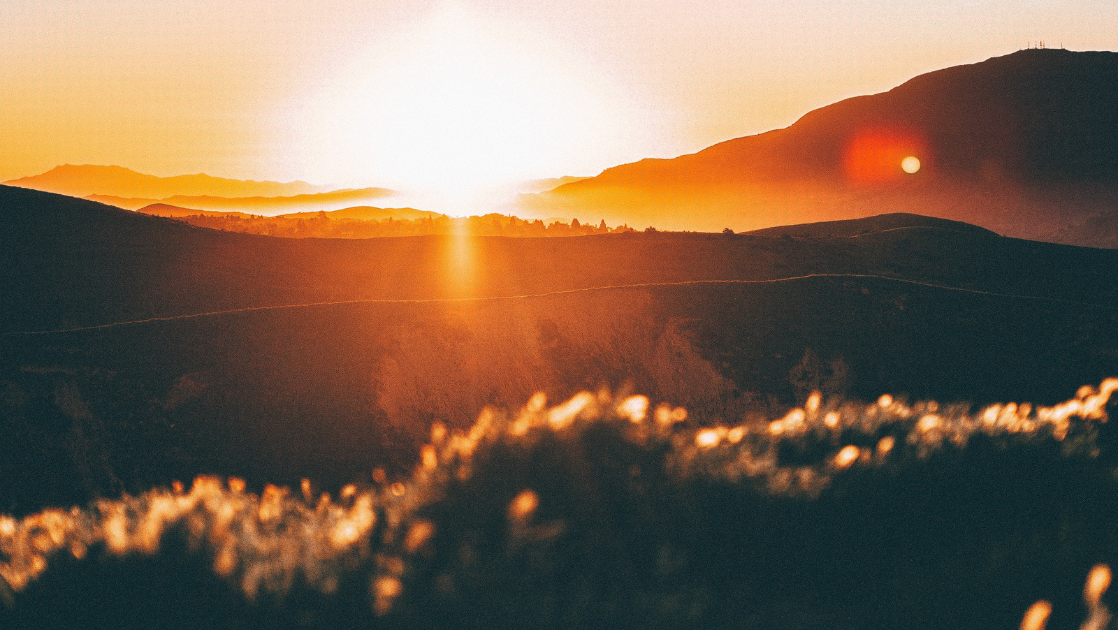 موقع القل الإسلامي شبكة القل الاسلامية