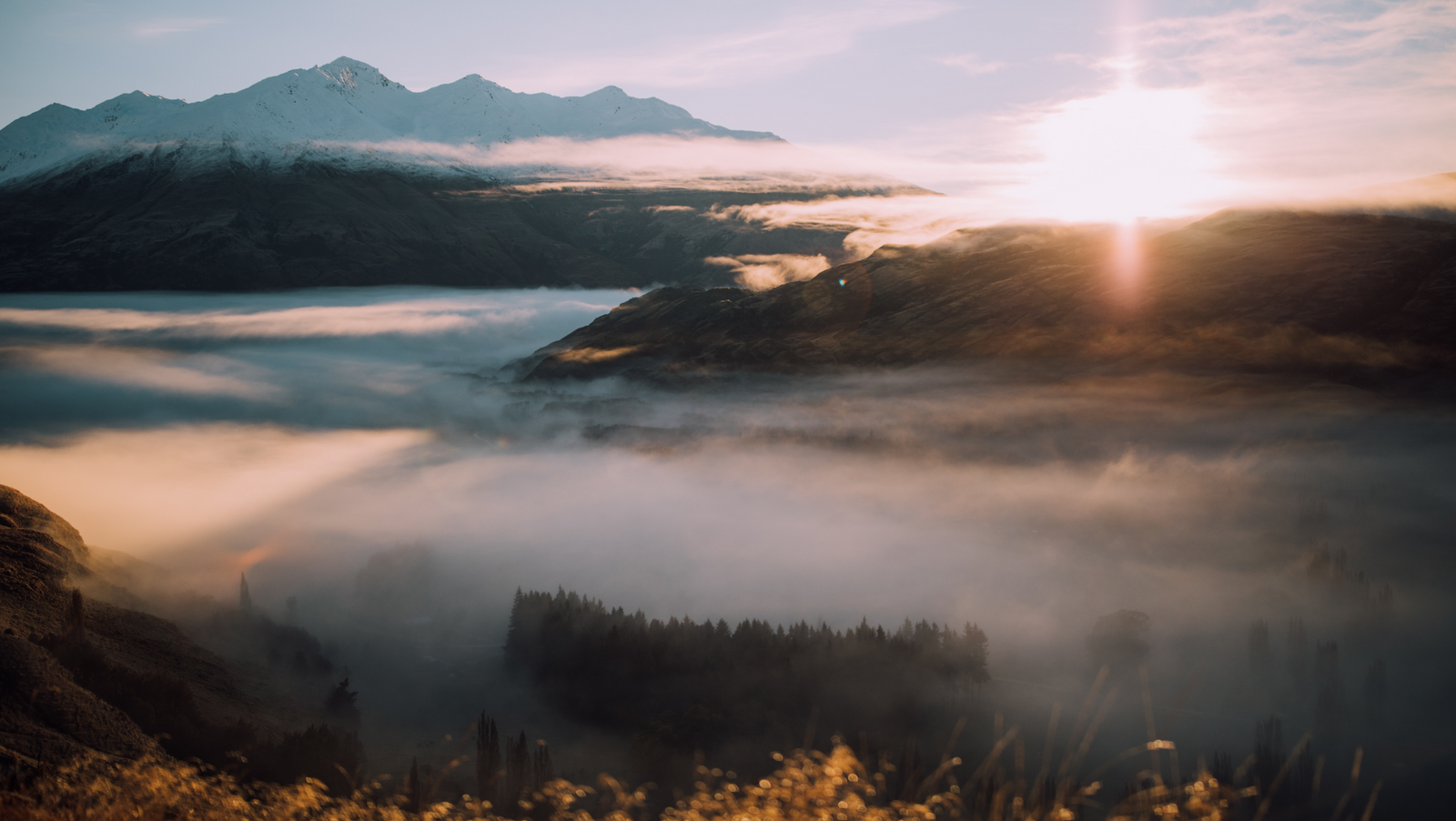 موقع القل الإسلامي شبكة القل الاسلامية