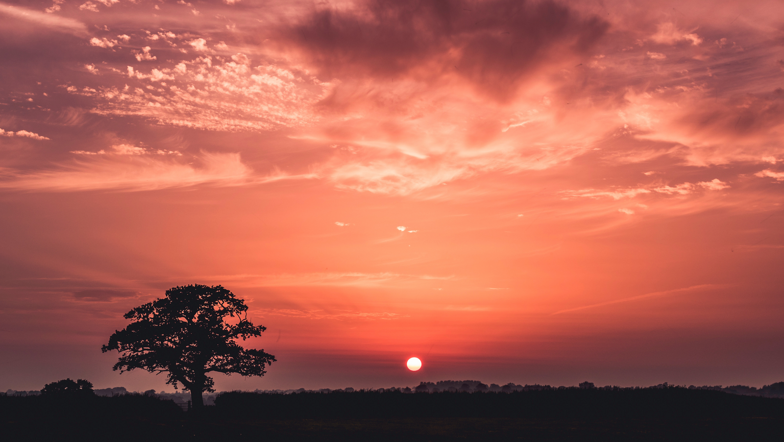 موقع القل الإسلامي شبكة القل الاسلامية