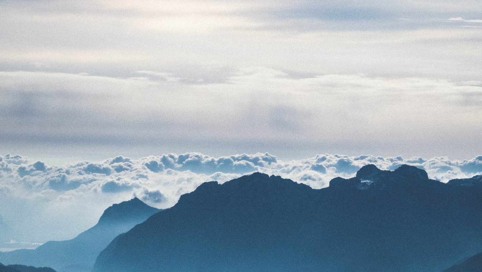 موقع القل الإسلامي شبكة القل الاسلامية