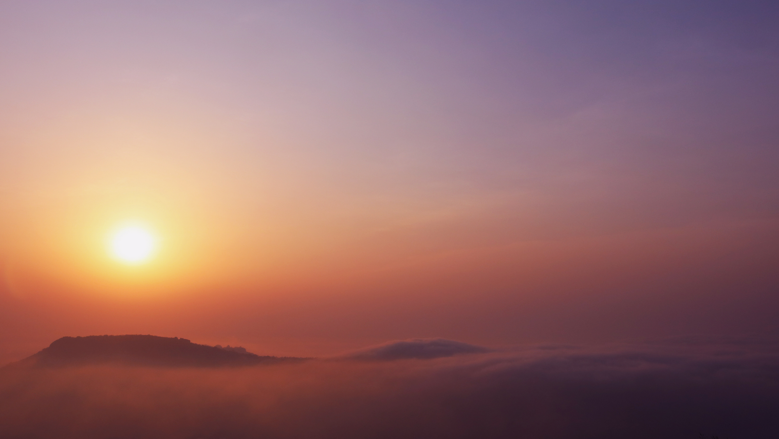 موقع القل الإسلامي شبكة القل الاسلامية