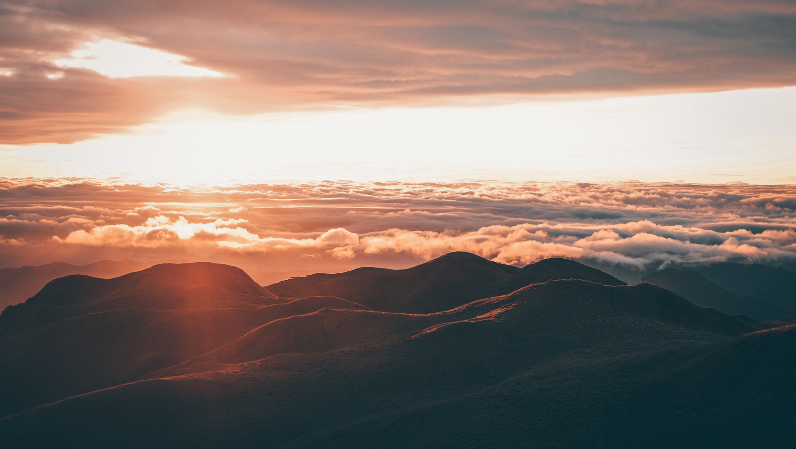 موقع القل الإسلامي شبكة القل الاسلامية