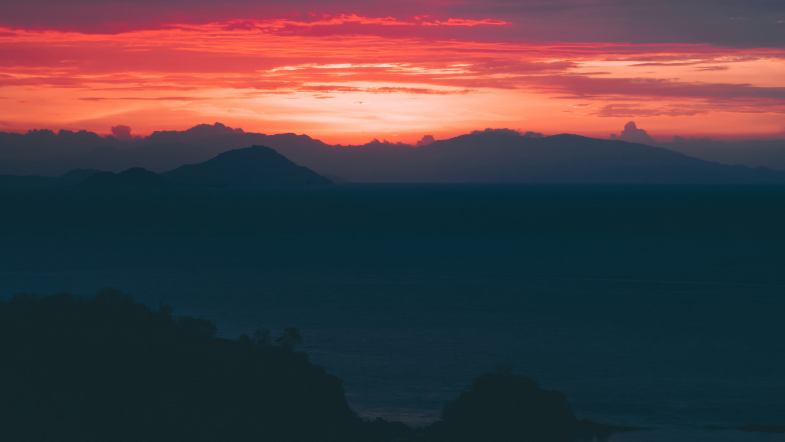 موقع القل الإسلامي شبكة القل الاسلامية