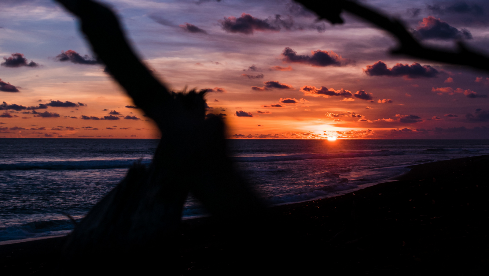 موقع القل الإسلامي شبكة القل الاسلامية