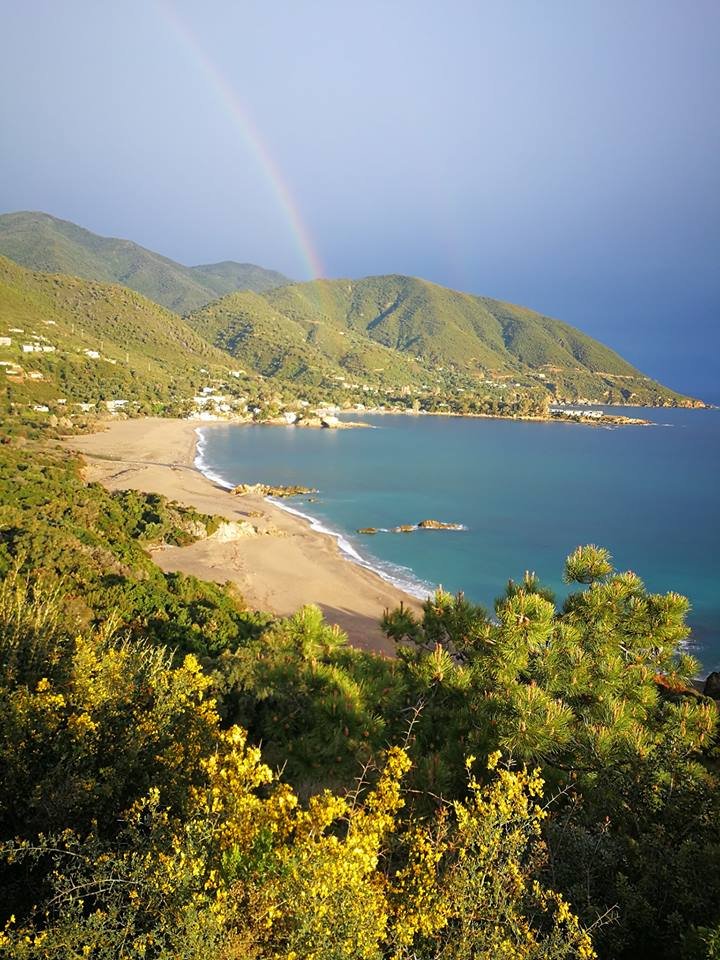 ما أجملها تلاوة كلها هدوء وسكينه لاتوصف أجمل ماسمعت