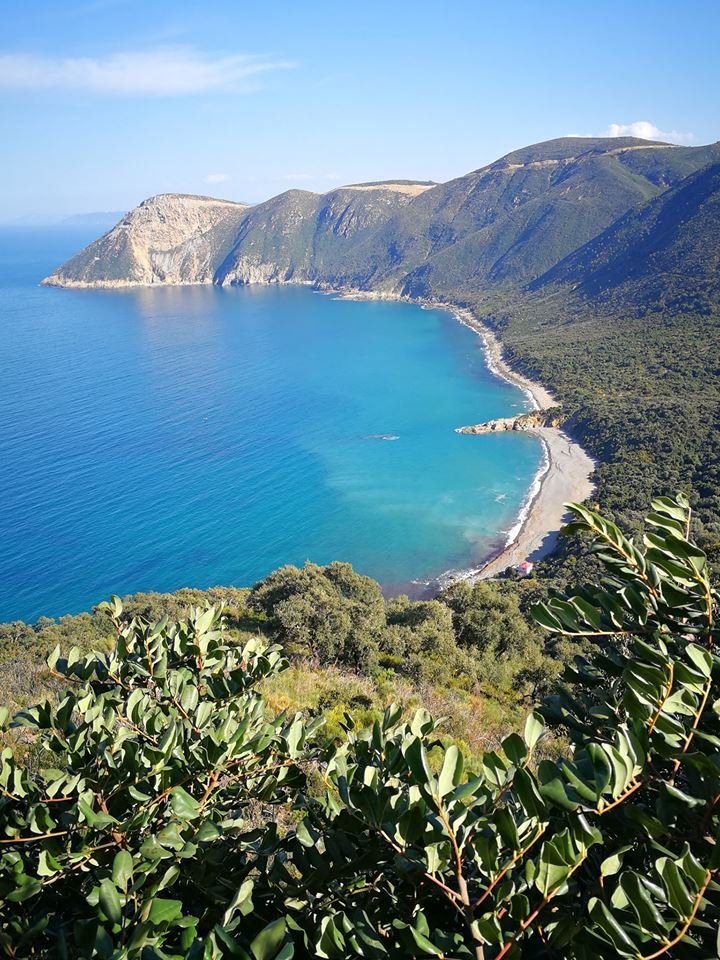 تلاوة شجية عذبة راحه تغمر القلوب عطر مسامعك