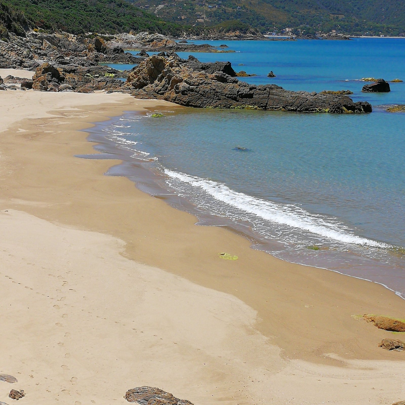 فاذكروني أذكركم للقارئ : ماجد الحازمي