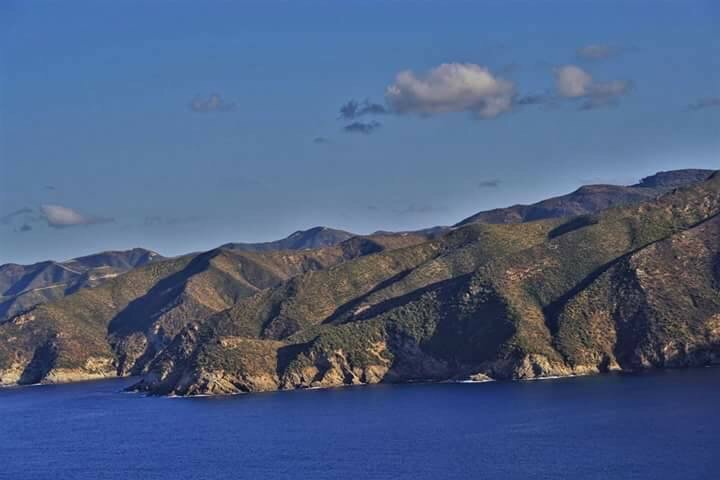 شبكة القل الإسلامية