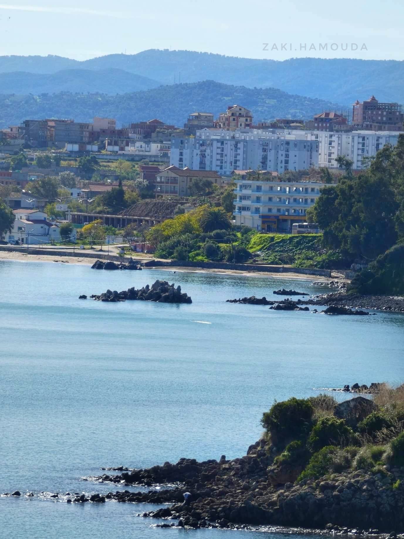 شبكة القل الإسلامية