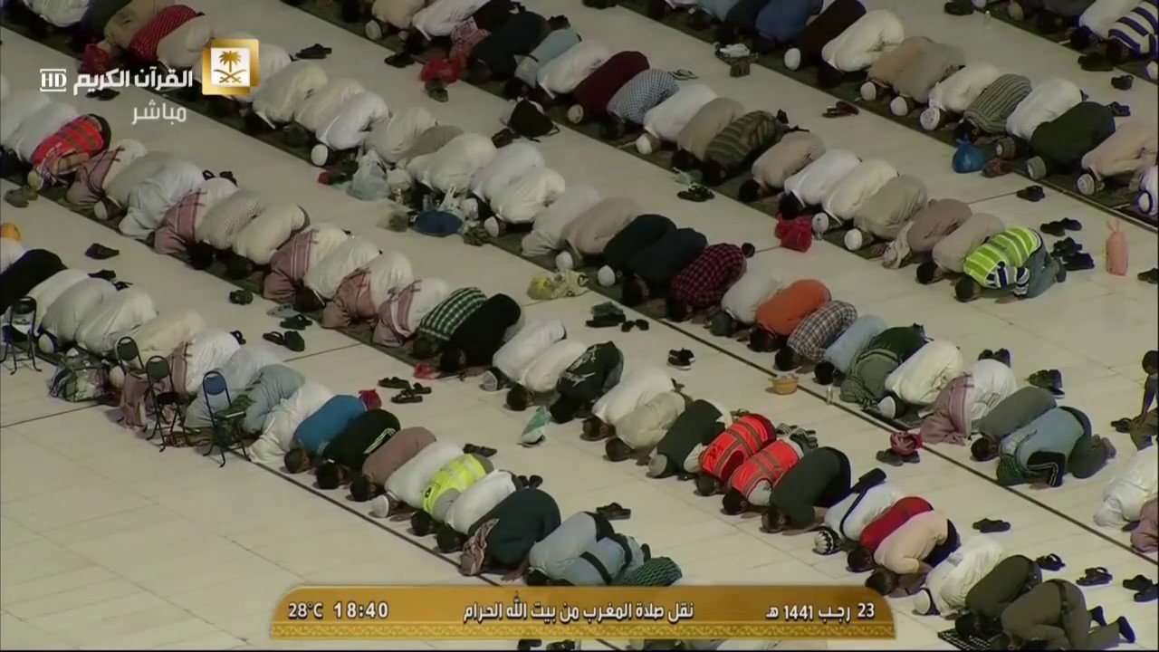 موقع القل الدعوي شبكة القل الاسلامية